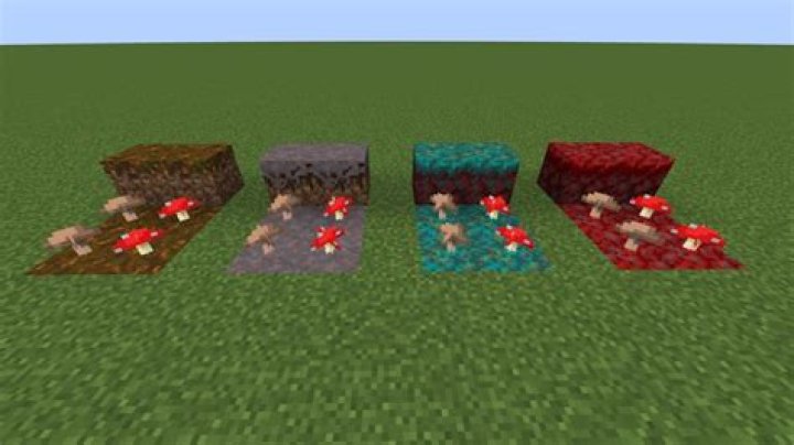 How to grow a red mushroom in minecraft