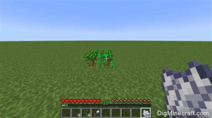 How to grow dark oak sapling in minecraft