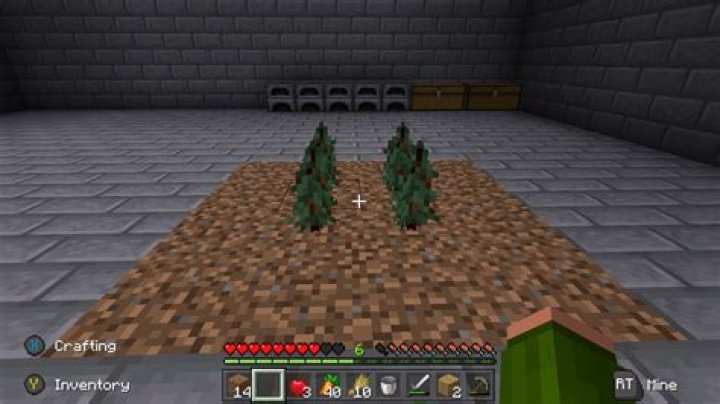 How to grow dark oak trees in minecraft