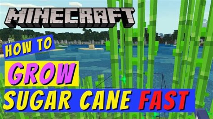How to grow sugar cane fast in minecraft