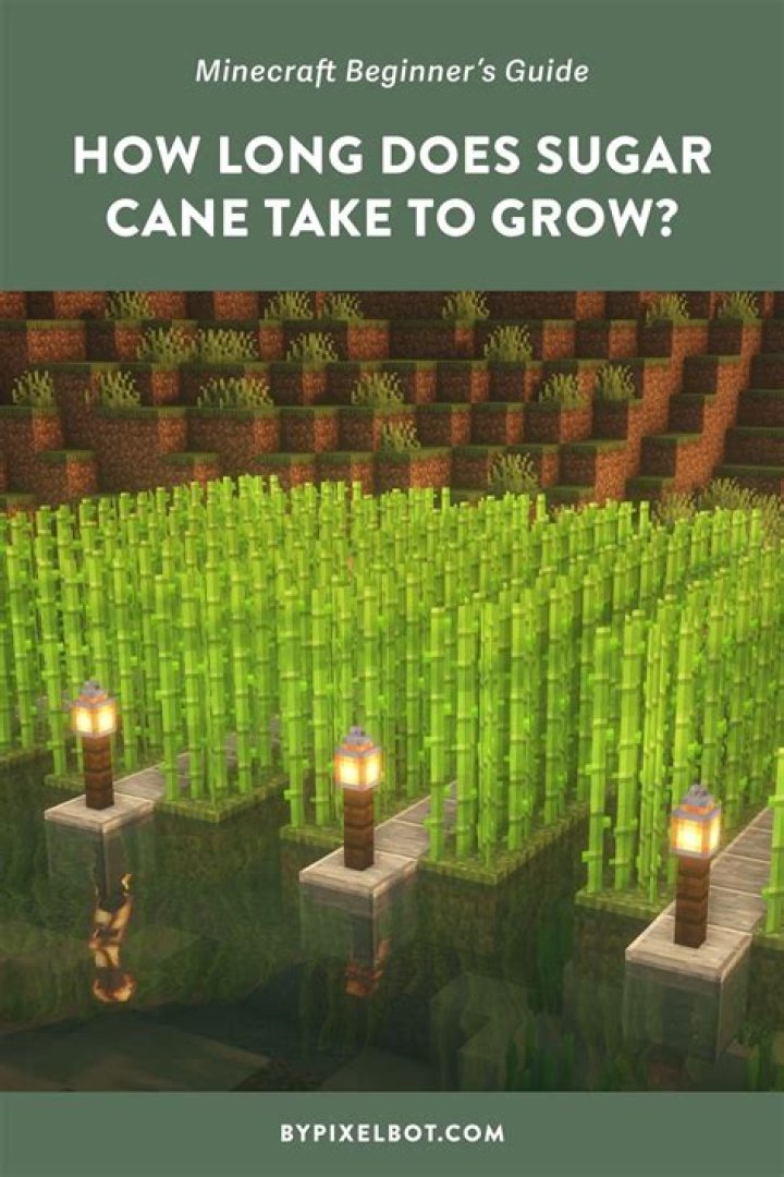 How to grow sugar cane in minecraft pe