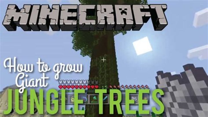How to grow tall jungle trees in minecraft