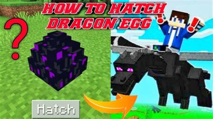 How to hatch ender dragon egg in minecraft