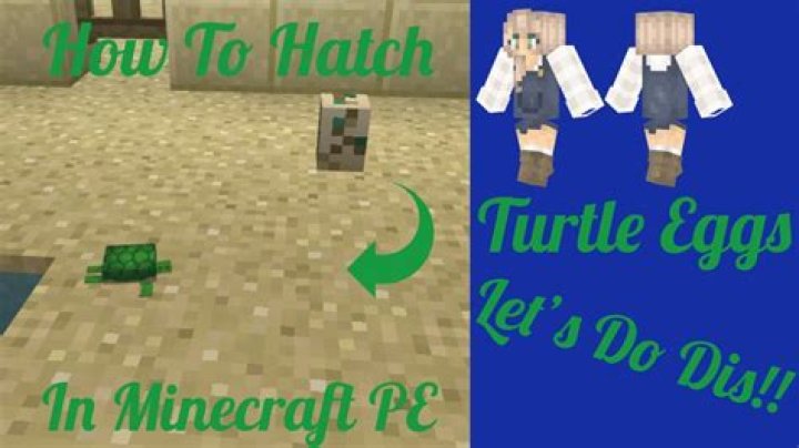How to hatch sea turtle eggs in minecraft