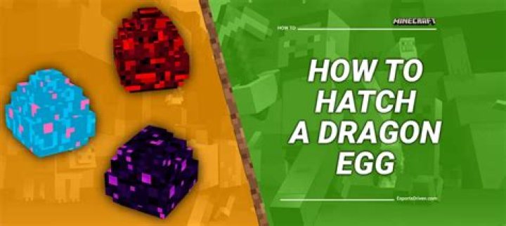 How to hatch the dragon egg in minecraft
