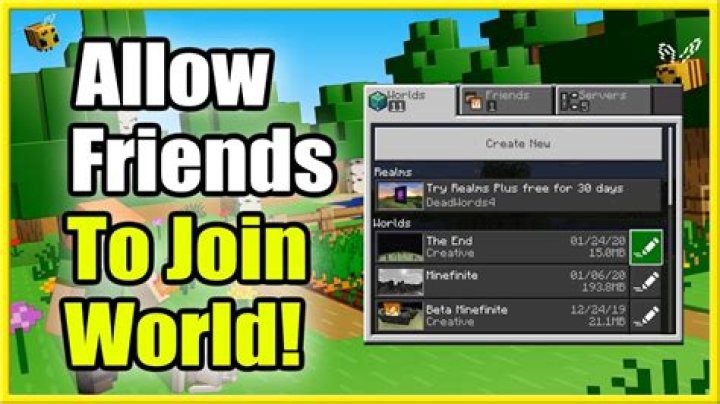 How to join a friends minecraft world java