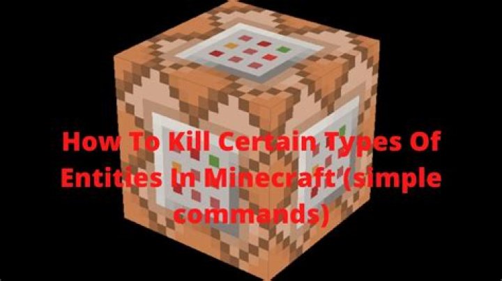 How to kill a certain entity in minecraft