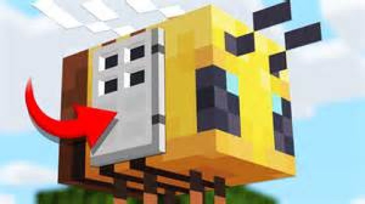 How to live inside a bee in minecraft