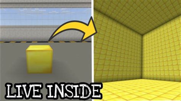 How to live inside a block in minecraft