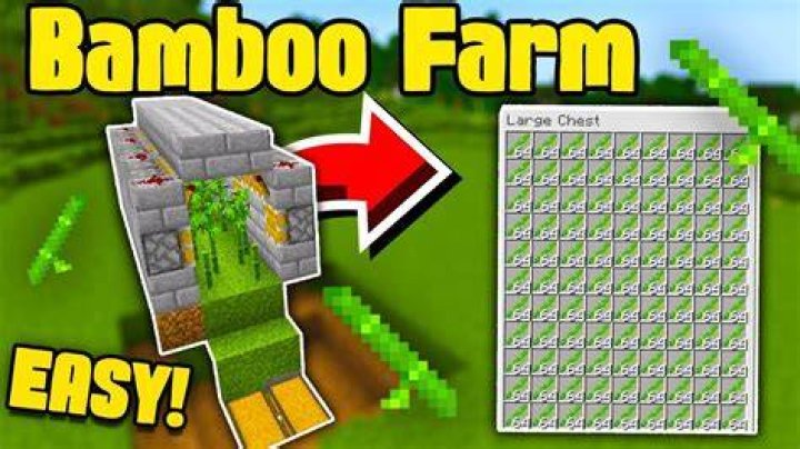How to make a bamboo farm in minecraft