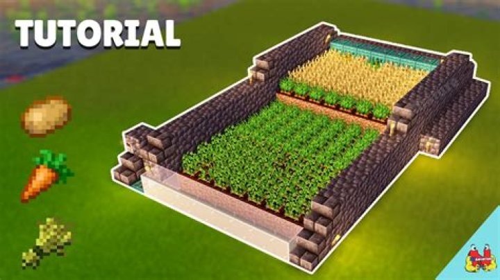 How to make a carrot farm in minecraft
