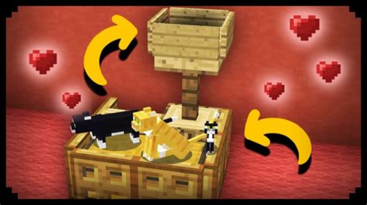 How to make a cat bed in minecraft