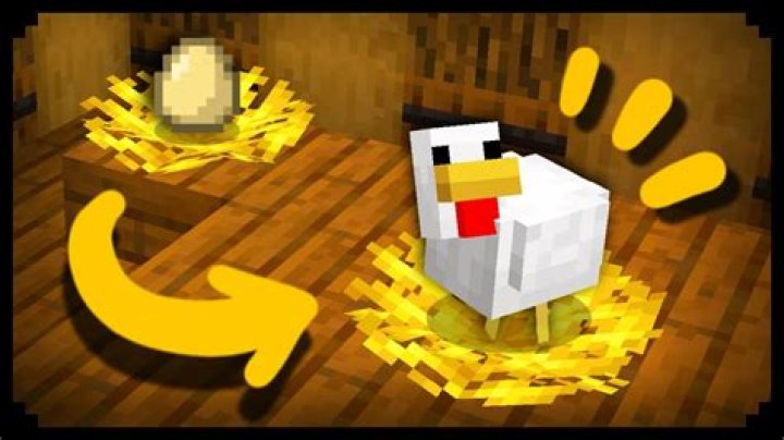 How to make a chicken nest in minecraft