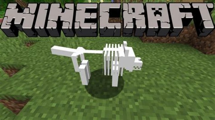 How to make a dog bone in minecraft