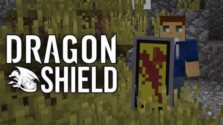 How to make a dragon shield in minecraft