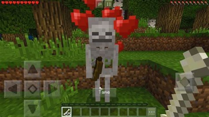 How to make a friendly skeleton in minecraft
