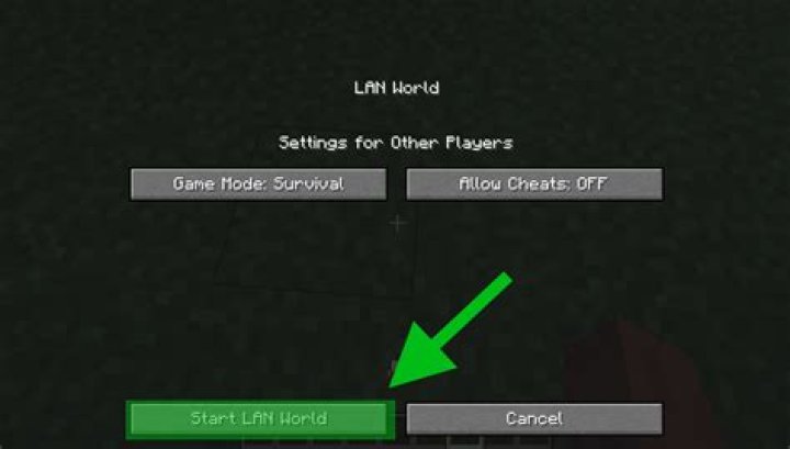 How to make a lan server in minecraft