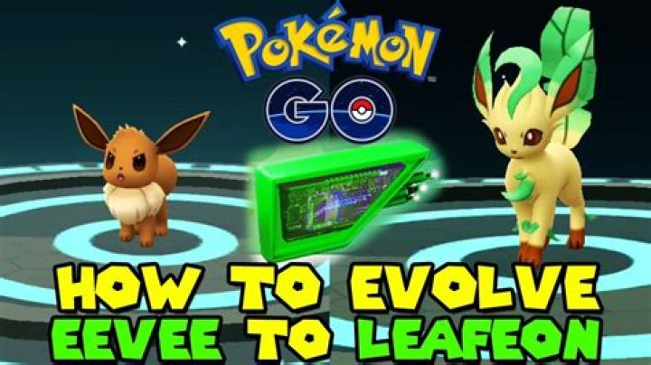 How to make a leafeon in pokemon go