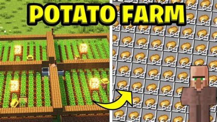 How to make a potato farm in minecraft