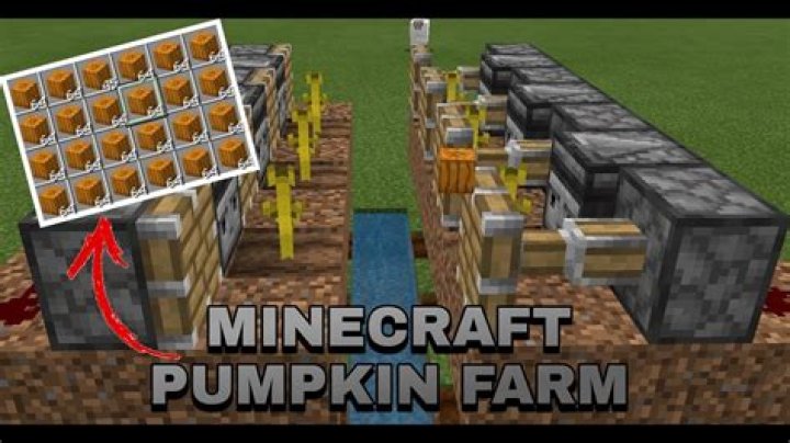 How to make a pumpkin farm in minecraft