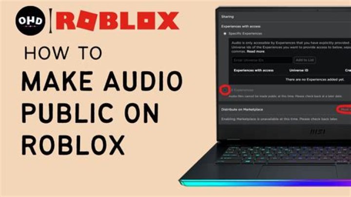 How to make a roblox audio intro