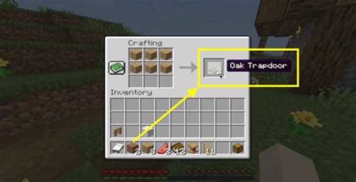 How to make a trap door in minecraft