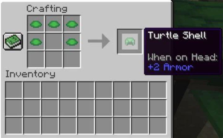 How to make a turtle shell in minecraft