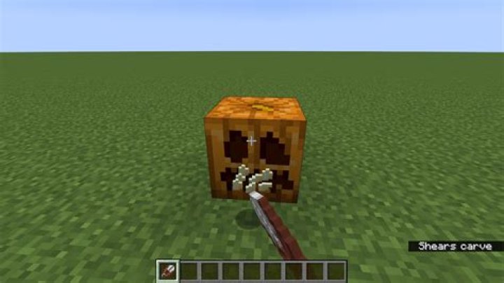 How to make a wearable pumpkin head minecraft