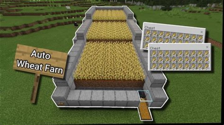 How to make a wheat farm in minecraft
