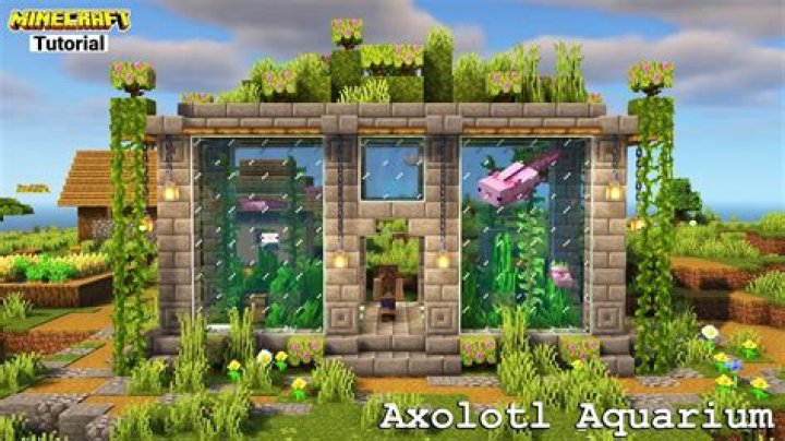How to make an axolotl tank in minecraft