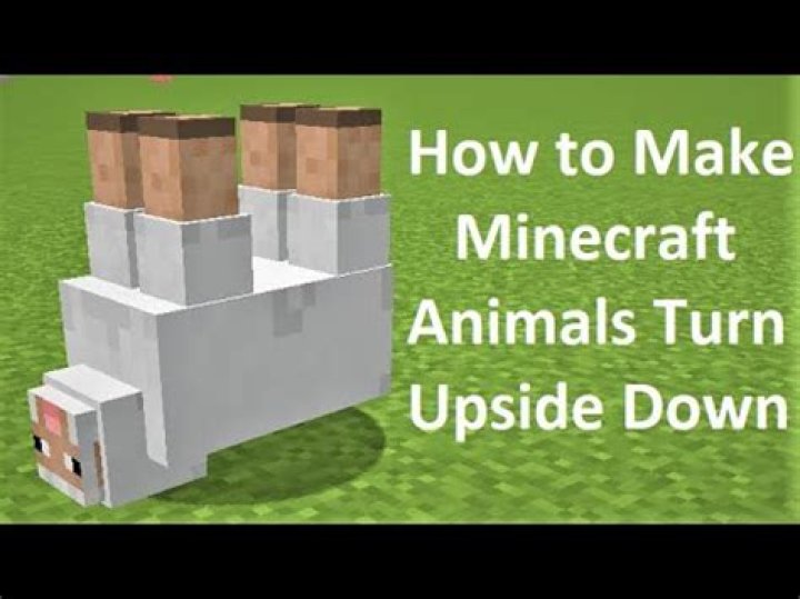 How to make animal upside down in minecraft