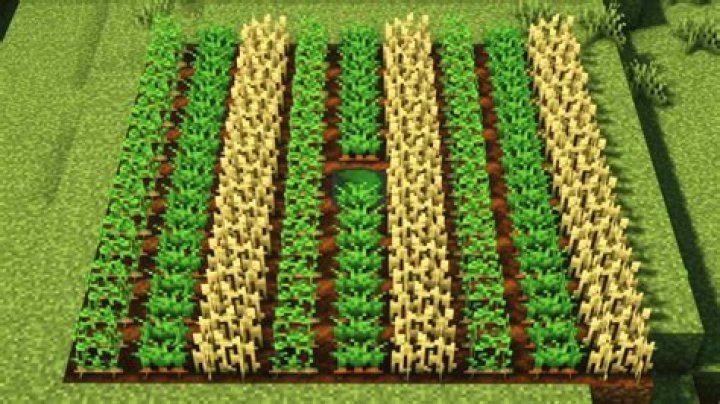 How to make crops grow faster in minecraft