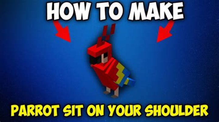 How to make parrot sit on shoulder minecraft