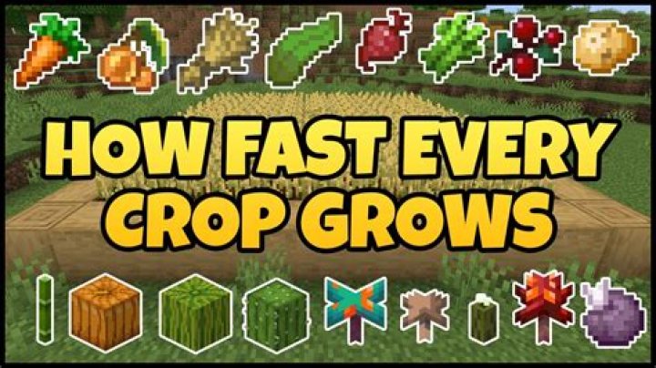 How to make potatoes grow faster in minecraft