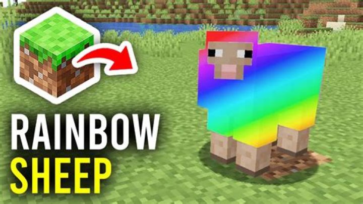 How to make rainbow sheep in minecraft bedrock