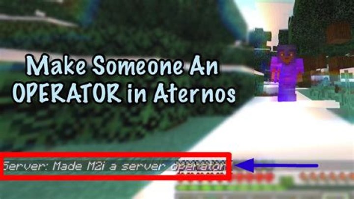 How to make someone an operator on minecraft