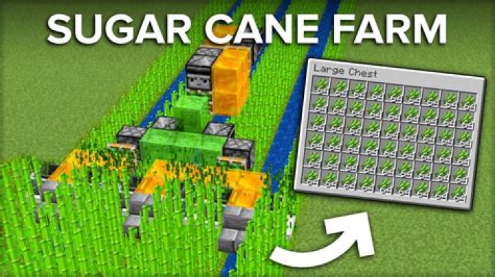 How to make sugar cane grow faster minecraft