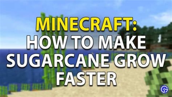 How to make sugarcane grow faster in minecraft