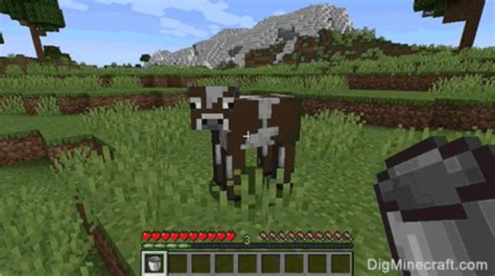 How to milk a cow in minecraft pe