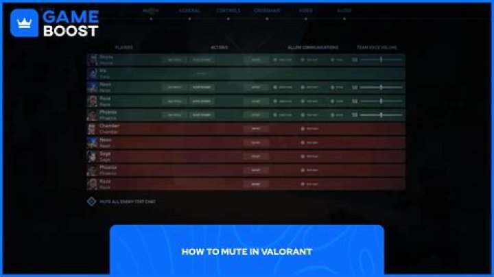 How to mute in valorant