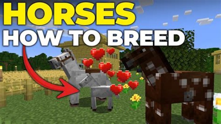 How to name a horse on minecraft pe