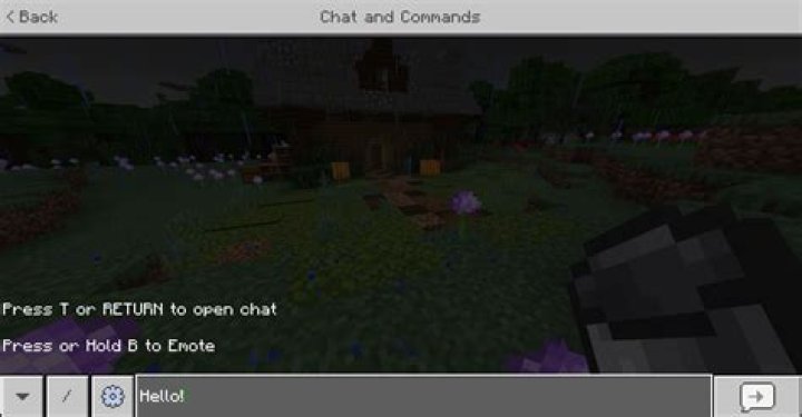 How to open chat in minecraft-switch