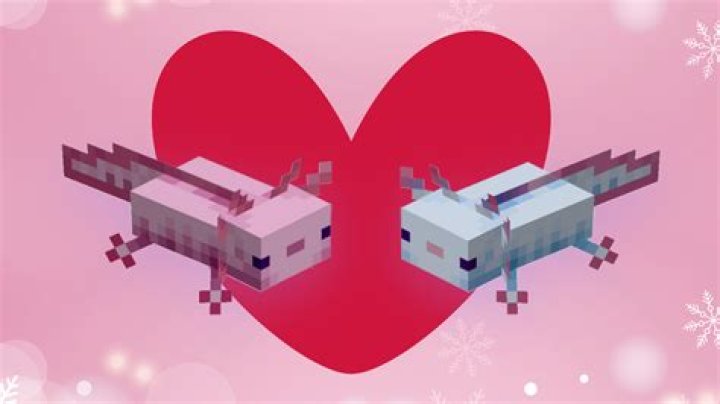 How to pick up a axolotl in minecraft