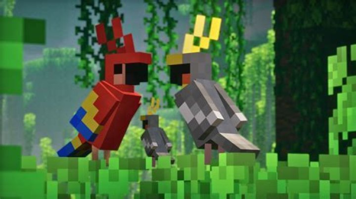 How to pick up a parrot in minecraft