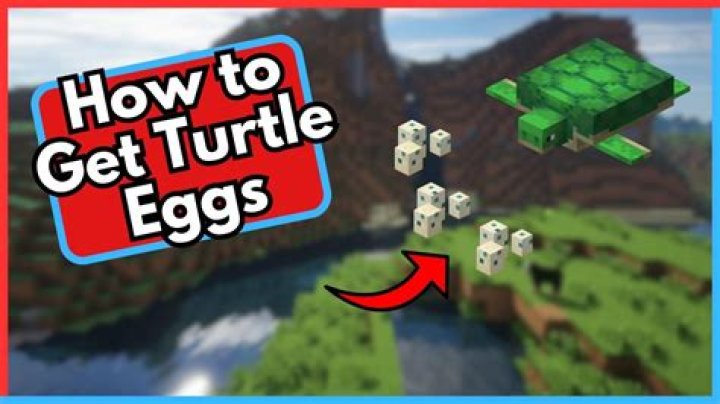 How to pick up turtle eggs in minecraft