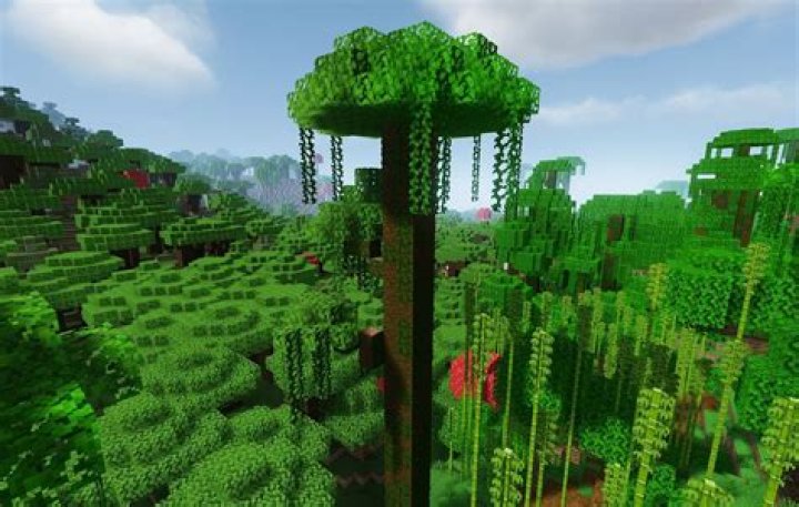 How to plant a jungle tree in minecraft