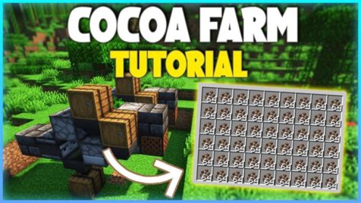 How to plant cocoa beans in minecraft pe