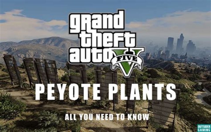 How to play gta 5 (ps4)