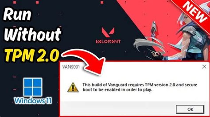 How to play valorant on windows 11