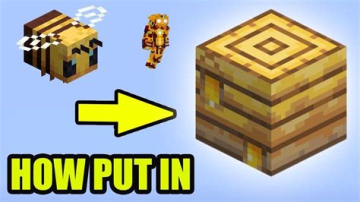 How to put bees in a beehive minecraft